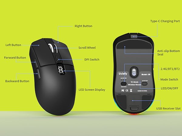 mouse