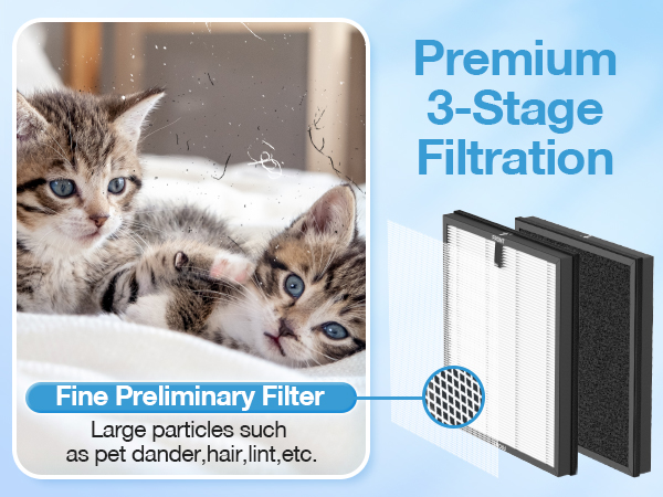 Air Purifier Replacement Filter for ECOSELF HAP603 Air Purifier
