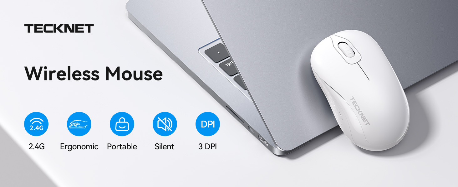 mouse