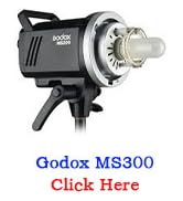 MS300