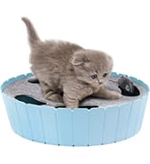 hideseek cat toys blue