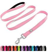 PenSeepet Dog Leash 6 FT Padded Handle Nylon Reflective Dogs Leashes for Small Dogs Pink