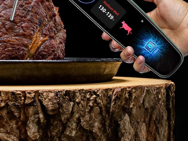 Meat Thermometer