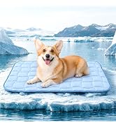 JOLLYVOGUE Cooling Mat for Dogs, 36" x 24" - Small Dog Cooling Mat, Wavy Quilted Kennels Bed with...