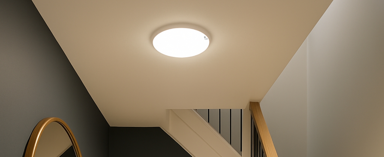 motion sensor ceiling light