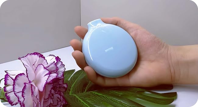hair brush for women