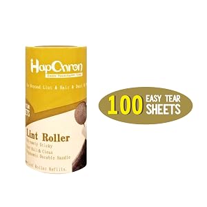 100 Sheets per Refill