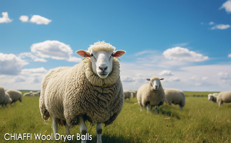 Wool Dryer Balls