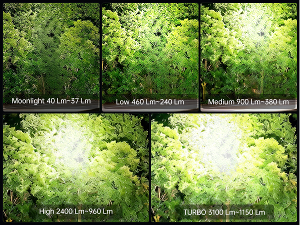Floodlight+Spotlight Output