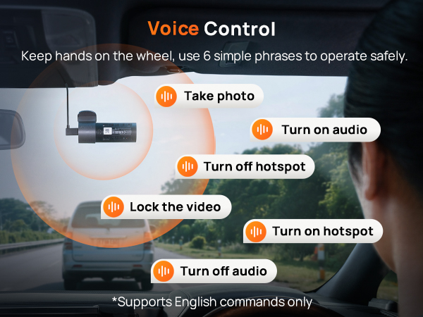 Voice Control