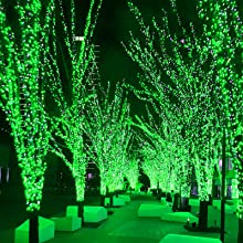 Green String Lights