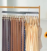 Bra Hanger for Closet Organizer