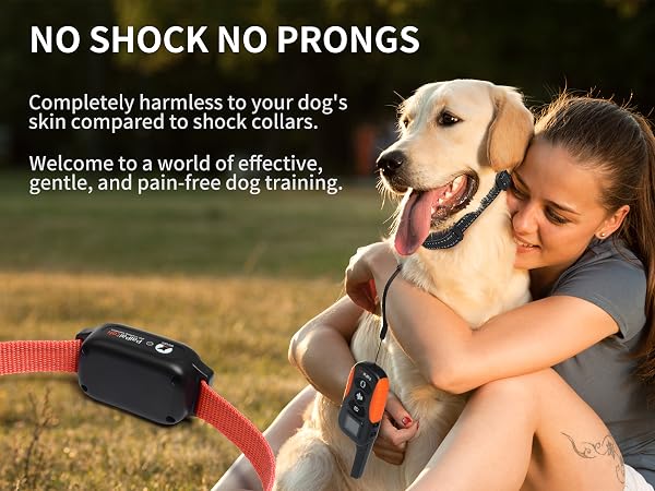 No Shock Dog Training Collar with Remote 3300ft Range