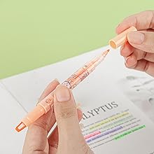 Assorted Color Highlighter