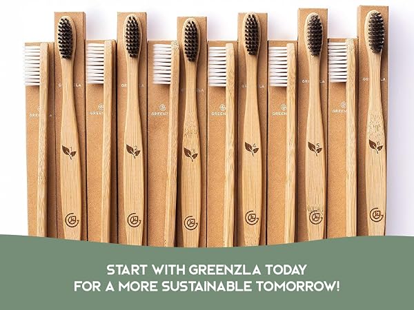 Greenzla Natural Bamboo Toothbrushes, travel toothbrush, travel toothbrush set, travel kit