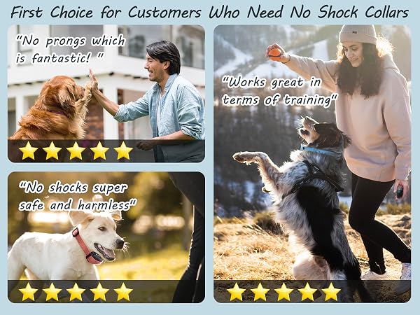 vibrating dog collar no shock vibration collar for small dogs vibration collar