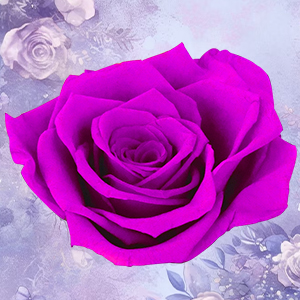 forever flowers