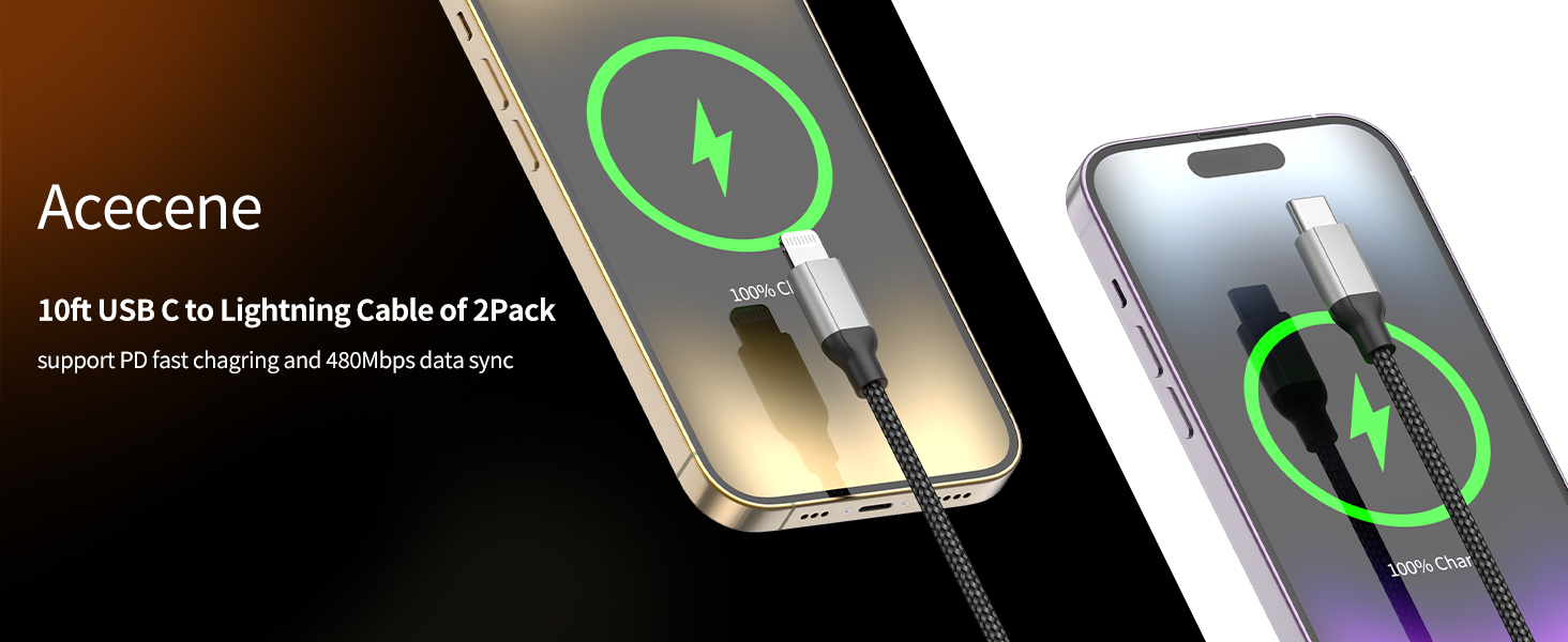 10ft USB C to Lightning Cable 2Pack