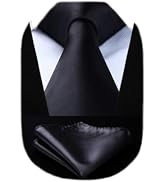 HISDERN Mens Solid Color Ties Formal Satin Necktie and Pocket Square Set Classic Wedding Business...