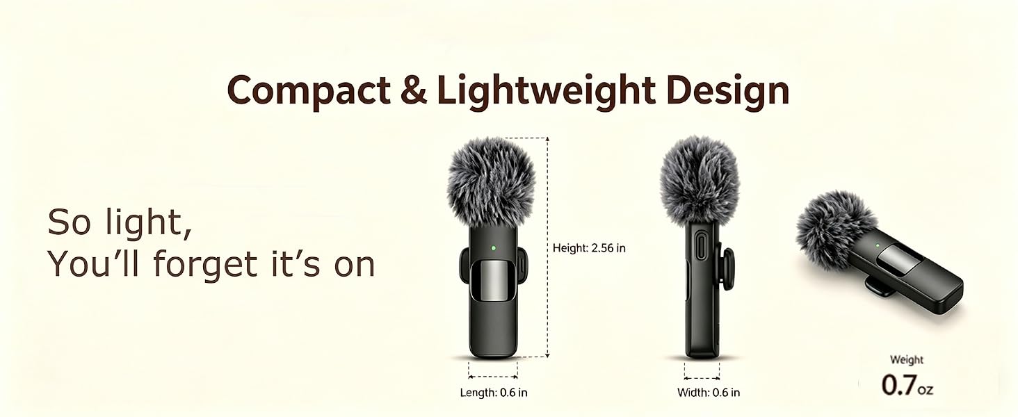 mini microphone