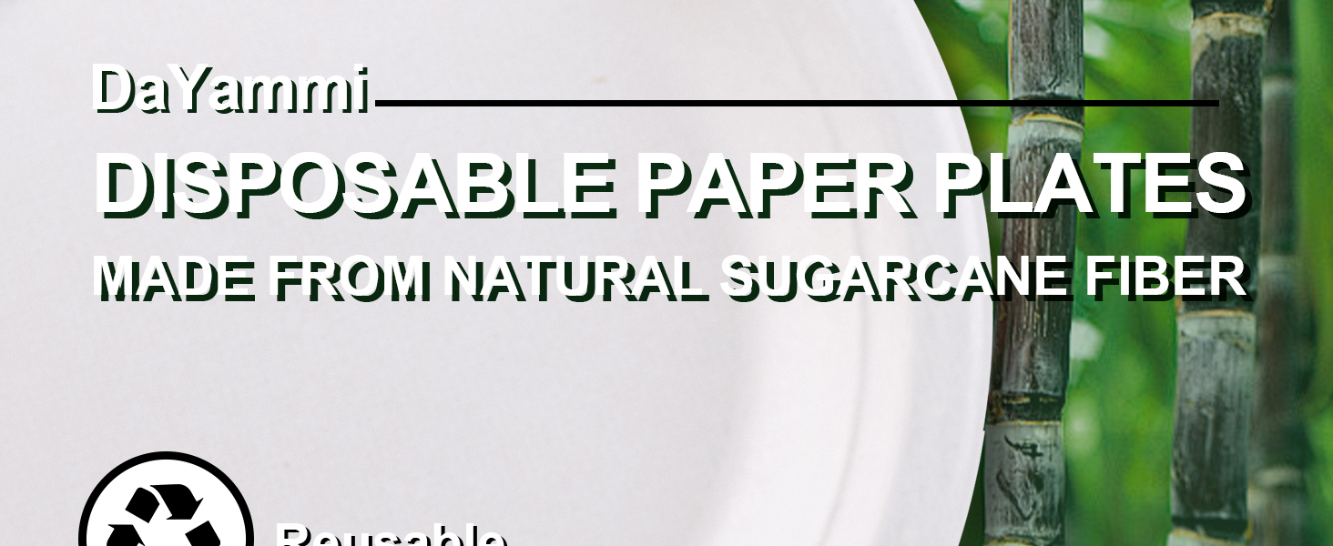 paper plates