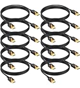 RyzzRooa DisplayPort to HDMI Cables 10-Pack, 6FT DP to HDMI Cable Adapter Male to Male Gold-Plate...