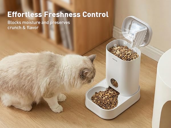 automatic cat feeder
