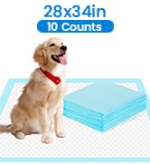 SAP FRIENDLY 28"×34" Disposable Underpads - 10 Count