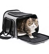 cat carrier