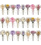 LawnIdyll 12/24 PCS Charming Dried Flowers Bouquet for Vase Various Dried Wildflowers with Stems ...