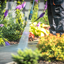 Wet your surface with plain water at low pressure.