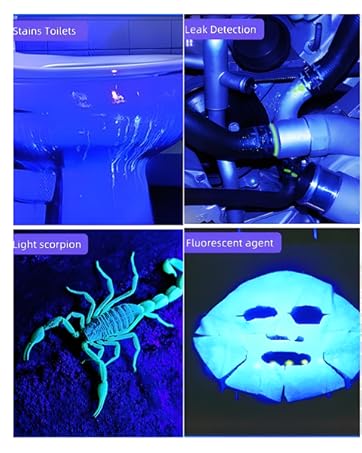 uv flashlights