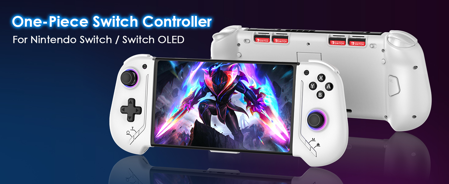 Nintendo Switch Controller