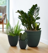 lifestyle photo of three dayton planters in turtle green in variety of sizes