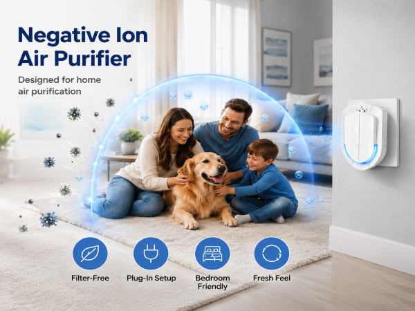 Plug In Air Ionizers