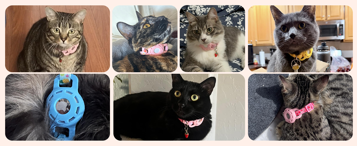 airtag cat collar