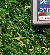 SANDISK CFexpress Type B 03