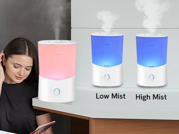 decorations capacity steamer long running hours cleaning water led light colors option adjustable