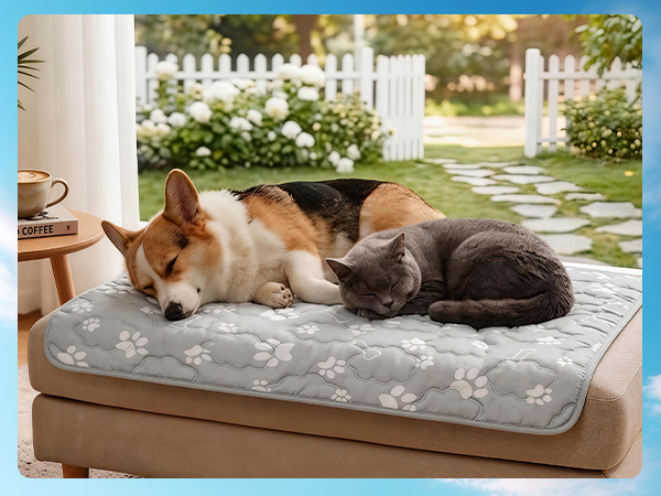 dog cooling mat