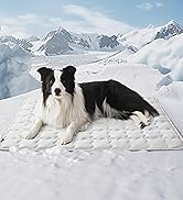 Cooling Dog Mat