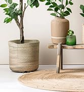 artificial plants outdoor