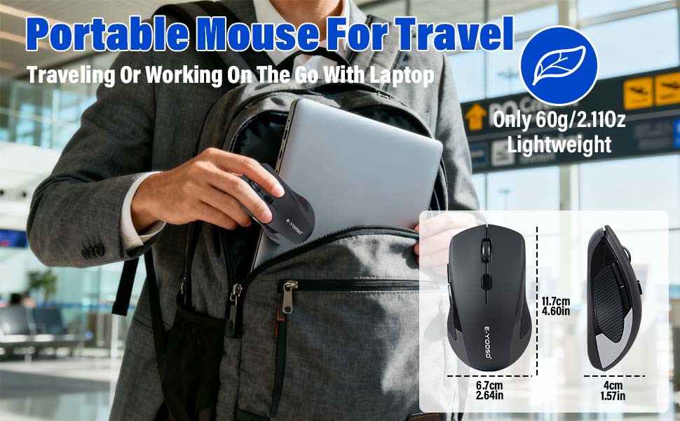 mouse