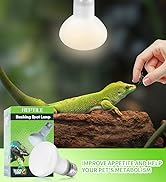 Reptile Heat Lamp Bulb (2nd Gen)