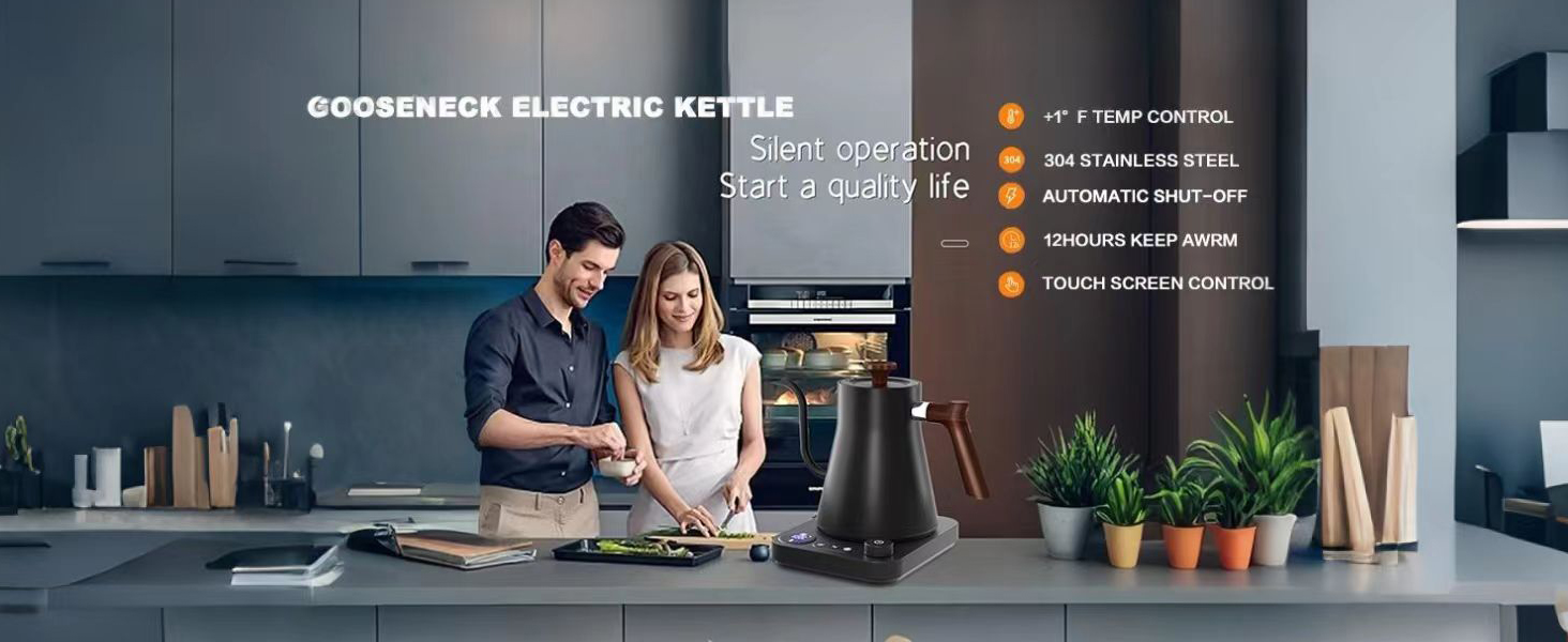 BQEUCE gooseneck electric kettle