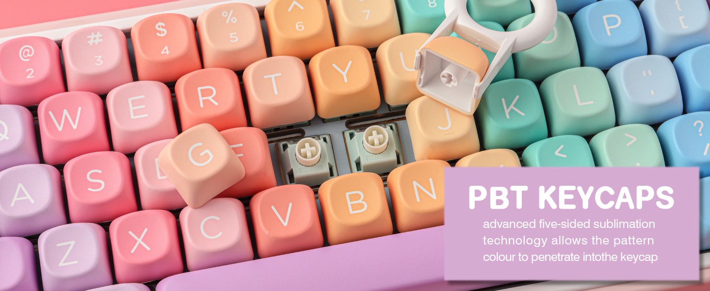 PBT moa Keycaps Set