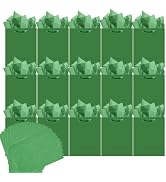 qiqee 24pcs Dark Green Gift Bags with Tissue Paper for Wedding, Birthday, Party Supplies-4.7"x6.3...