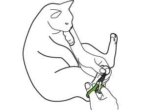 Most cats kick with their back legs, so trim those paws first