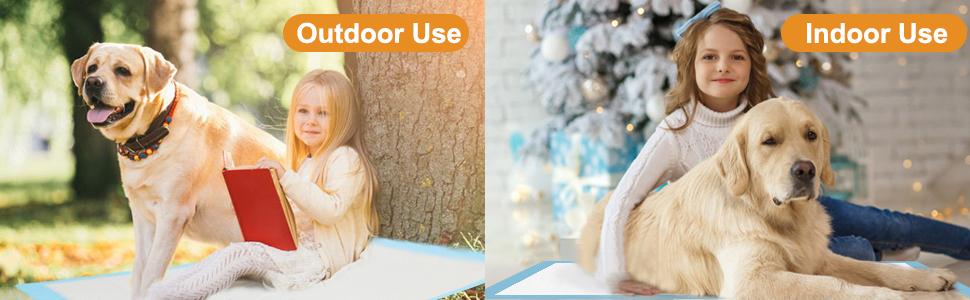 Dog Training Pads for Indoor and Outdoor Use
