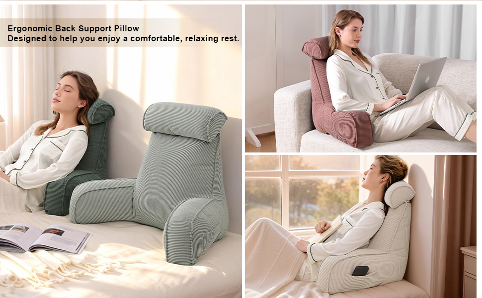 ErgonomicBack Support Pillow