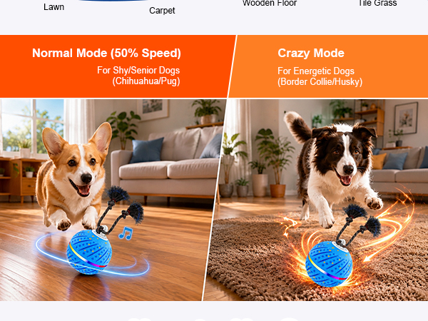 interactive dog ball